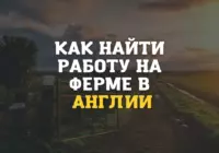 Поиск работы на фермах в Англии