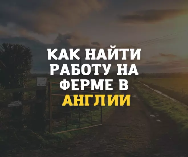 Поиск работы на фермах в Англии
