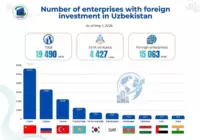 Distribution of foreign-invested enterprises in Uzbekistan by country as of May 1, 2026