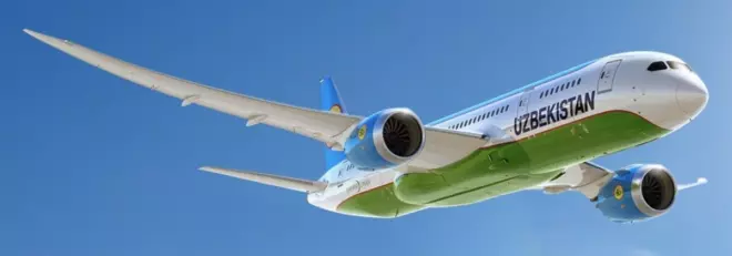 Самолет Uzbekistan Airways в полете. Фото: Uzbekistan Airways