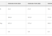2024–2026 yillarning birinchi yarmida O‘zbekistonda tabiiy gaz, neft, gaz kondensati va ko‘mir qazib olish hajmlari
